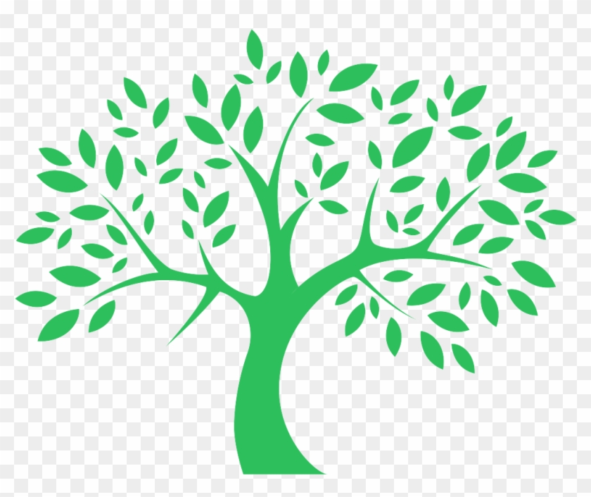 Tree Graphic, HD Png Download - 1200x1200(#4171336) - PngFind