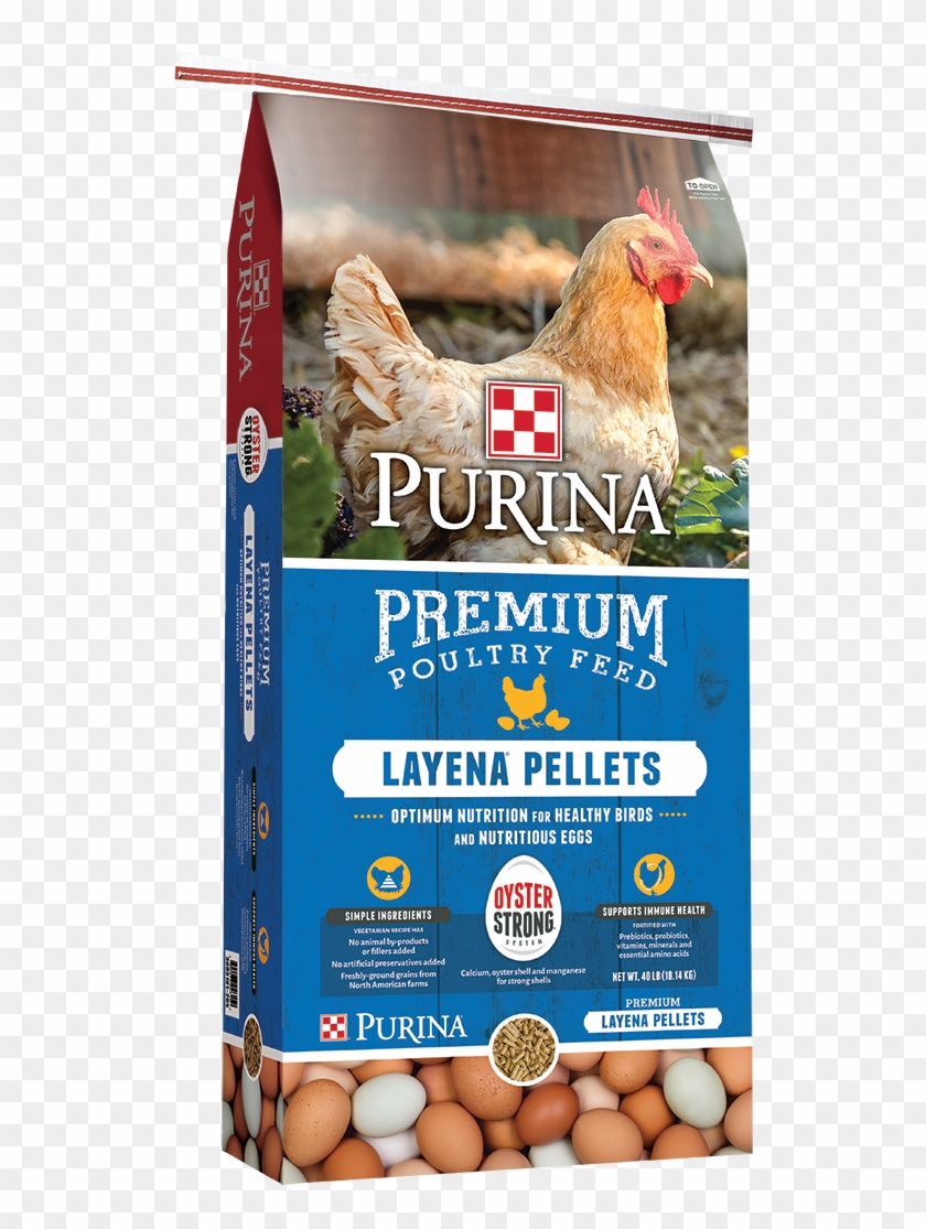 Layena Pellets Oyster Strong Bag Png Poultry & Small - Purina Layena ...