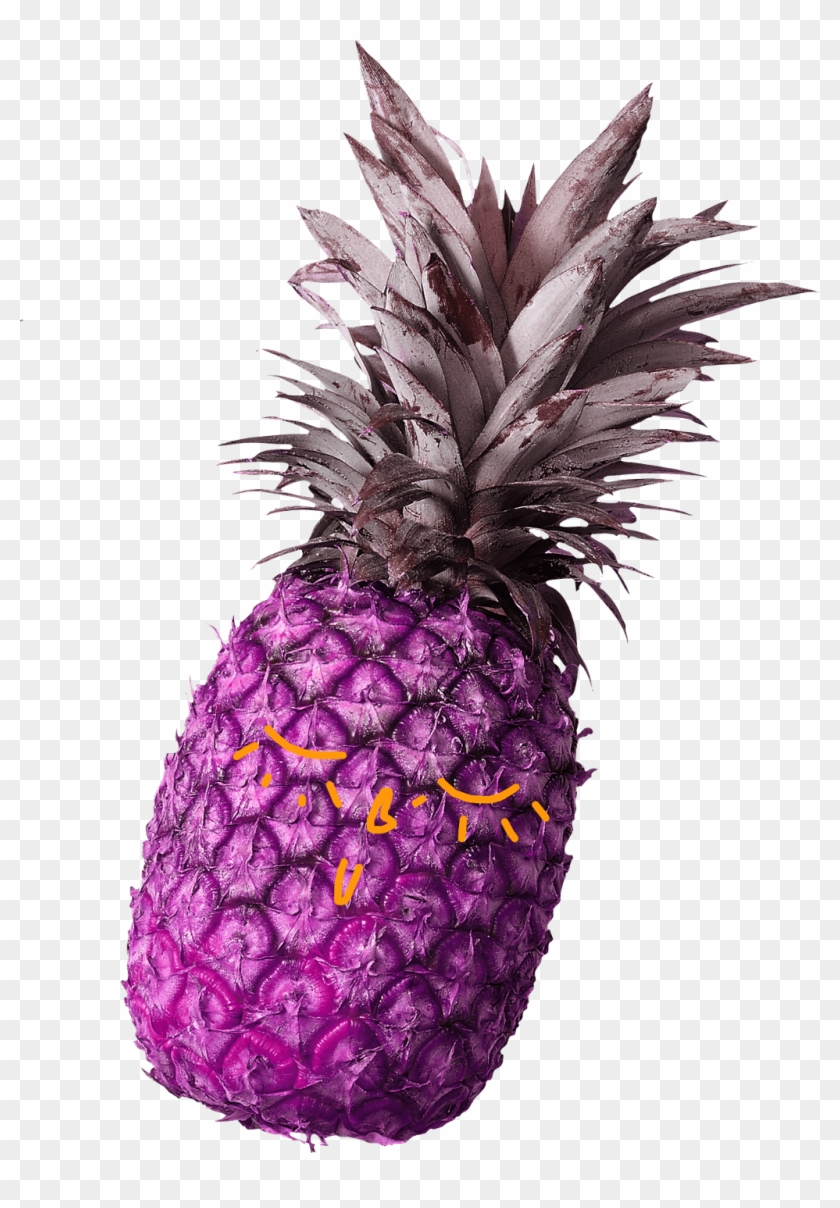 Download Pink Pineapple Ftestickers Freetoedit Fresh And Canned Pineapple Hd Png Download 1024x1425 4253387 Pngfind