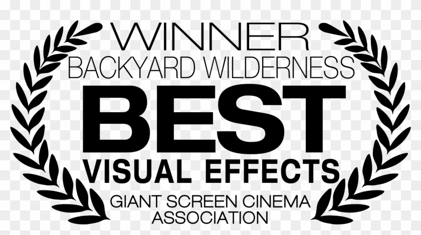 Aa Gsca Best Film Short Subject - Movie Awards Png, Transparent Png -  2304x1196(#4255109) - PngFind