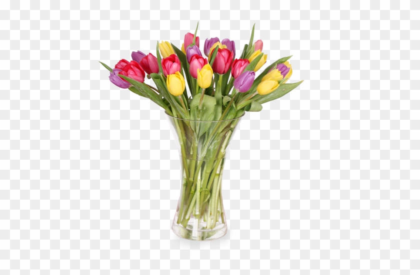 Lindo Arreglo De 30 Tulipanes En Florero De Vidrio - Sprenger's Tulip, HD  Png Download - 597x555(#4270912) - PngFind