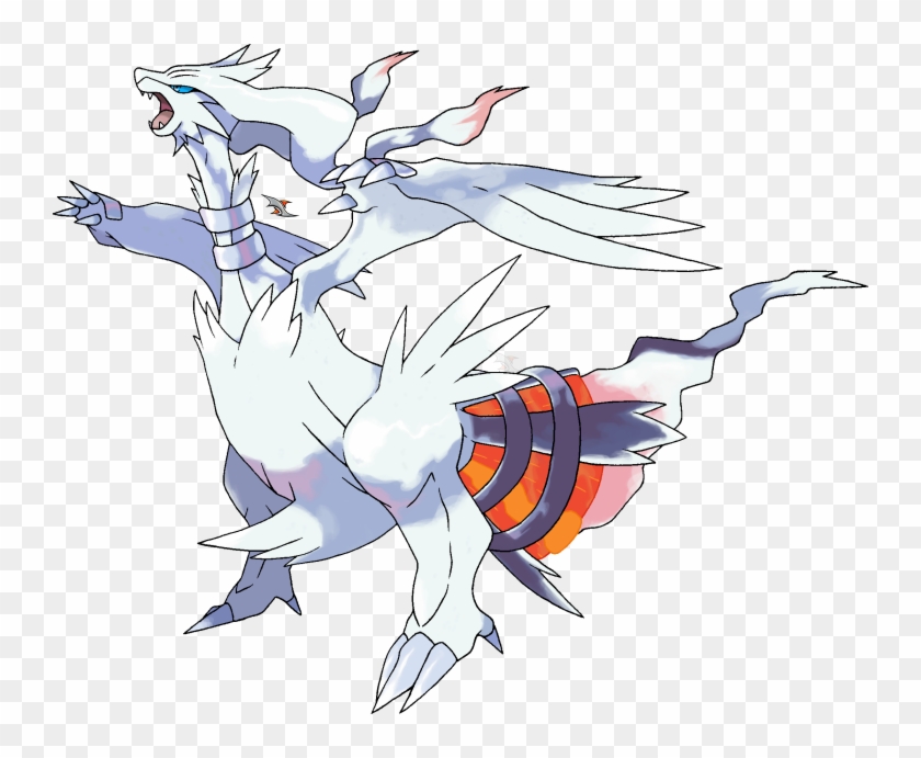Pokemon Reshiram And Zekrom Fusion, HD Png Download - 1600x1119(#5911751) -  PngFind