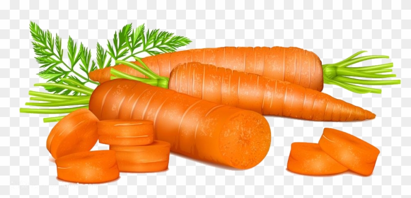 free downloadable clipart carrots