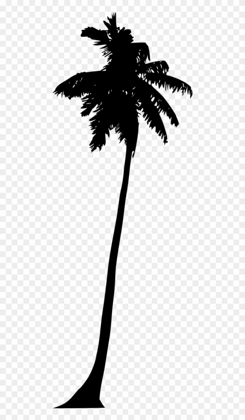 Palm Trees Silhouette Png