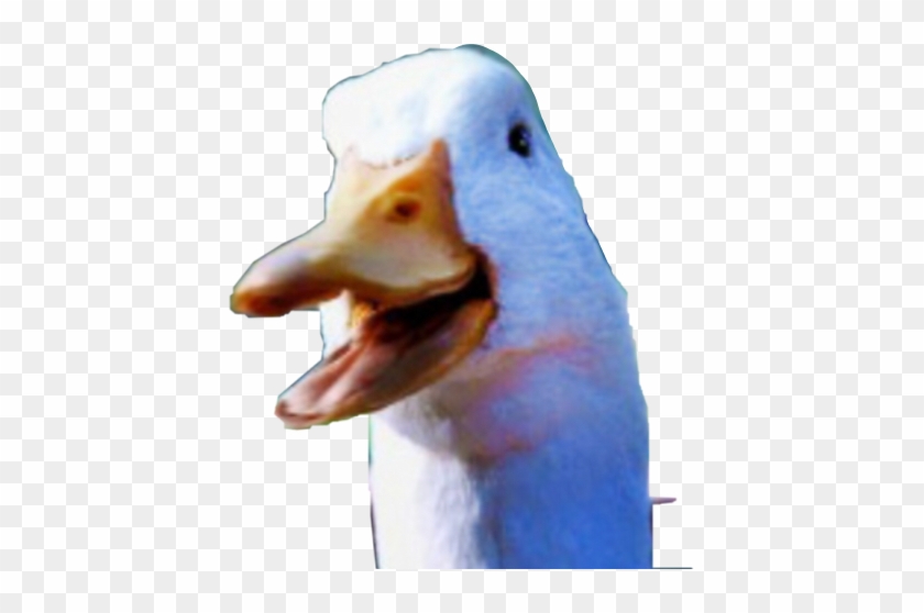 aflac duck clipart free