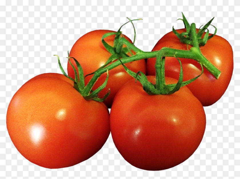 tomatoes ripe truss food vegetables vegetarian tomates png transparent png 960x660 4449085 pngfind tomatoes ripe truss food vegetables