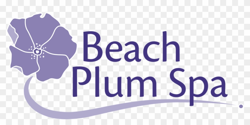 448 4483333 Beach Plum Spa Website Medical Beauty Hd Png 