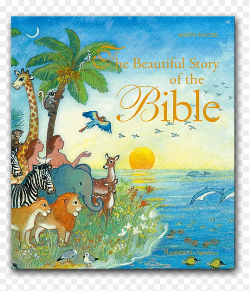 More Views - Belle Histoire De La Bible, HD Png Download - 2000x2000 ...