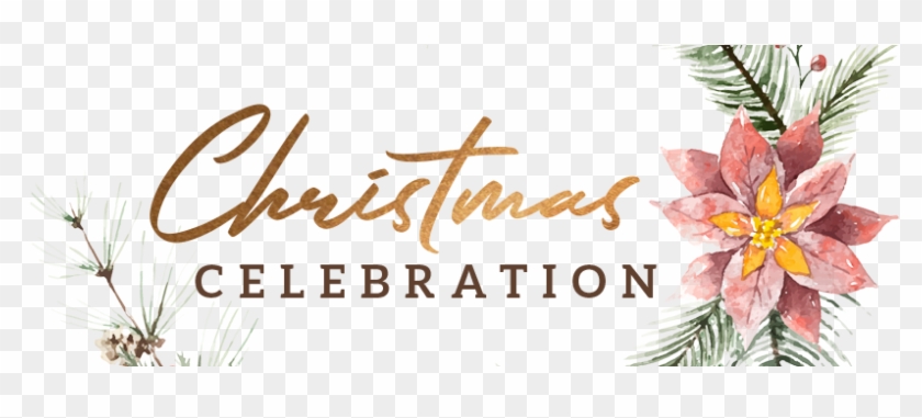 Christmas Celebration - Christmas Celebration Png, Transparent Png - 1180x300(#455898) - PngFind