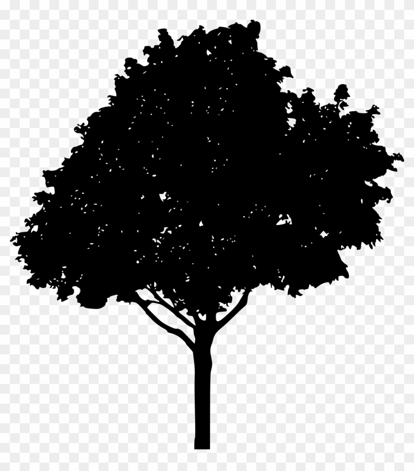 Download Silhouettes Png Background Onlygfx Com Free Simple Oak Tree Silhouette Transparent Png 1832x2000 4504684 Pngfind