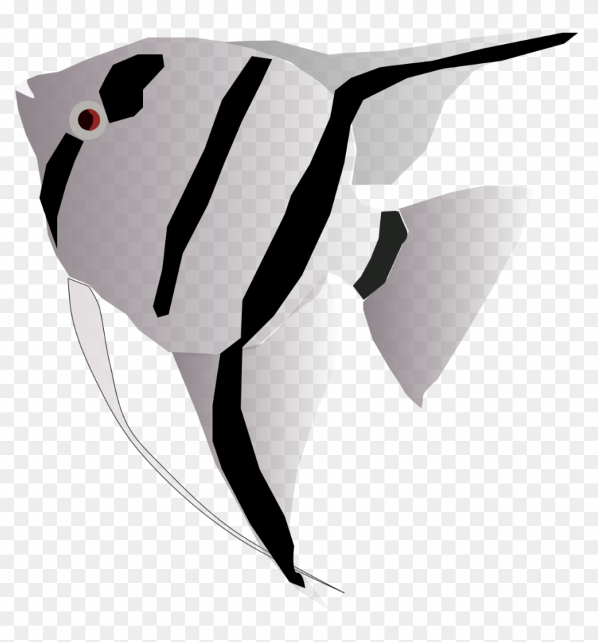 Download File Angelfish Svg Angel Fish Transparent Hd Png Download 1000x1024 4561079 Pngfind