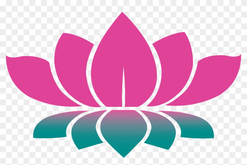 Lotus Hd Png Transparent Png 3508x2480 462543 Pngfind