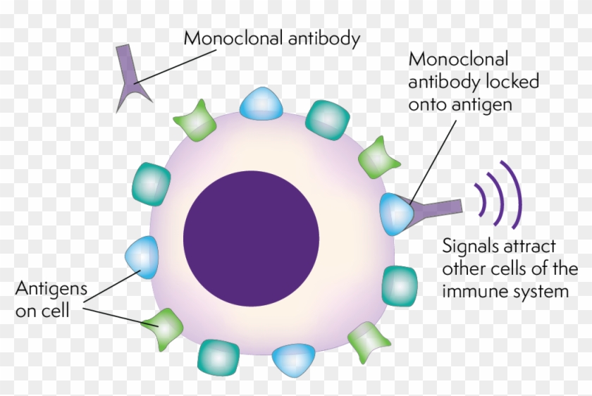 antigen cartoon png