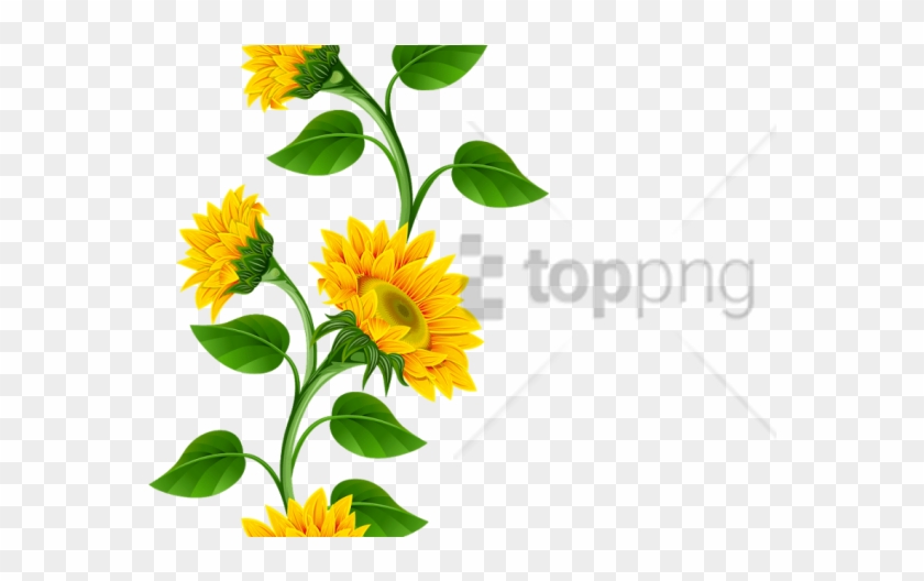 Free Free 140 Sunflower Border Clipart Free SVG PNG EPS DXF File