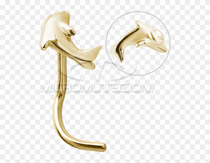 18k Gold Dolphin Nose Stud - Common Bottlenose Dolphin, HD Png Download