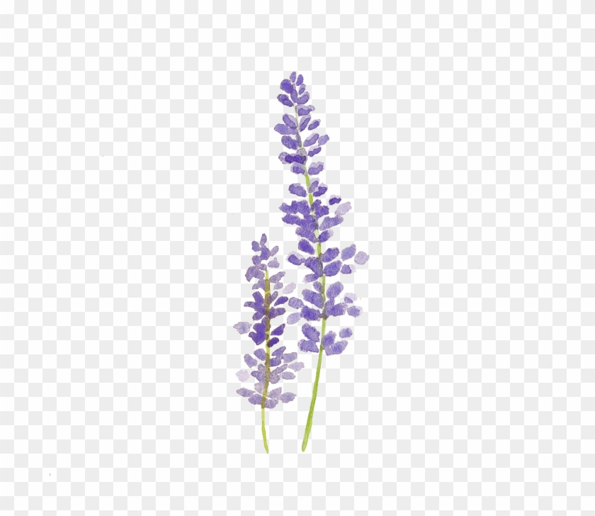 Premium Photo  Watercolor illustration of lilac flower