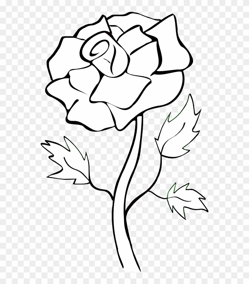 Black and White Rose Drawing Wallpapers  Top Free Black and White Rose  Drawing Backgrounds  WallpaperAccess