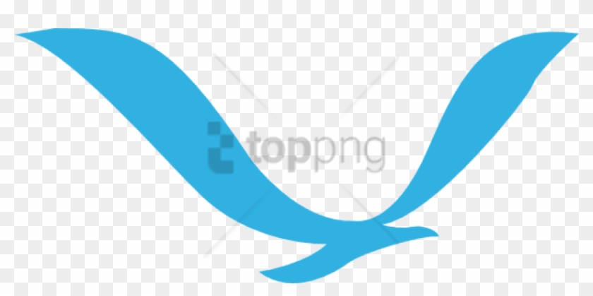 Flying Bird Logo Png Image With Transparent Background Vector