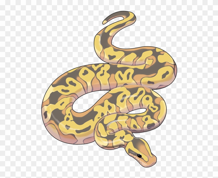 3d Snake, Gradient Snake, Large Pythons, Snake PNG Transparent Clipart  Image and PSD File for Free Download