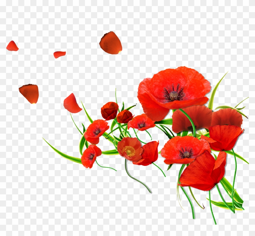 Png Free Download Render Renders Coquelicot Rouge Fleur Mak Png Transparent Png 1836x1611 4767877 Pngfind - renders de roblox png image transparent png free download
