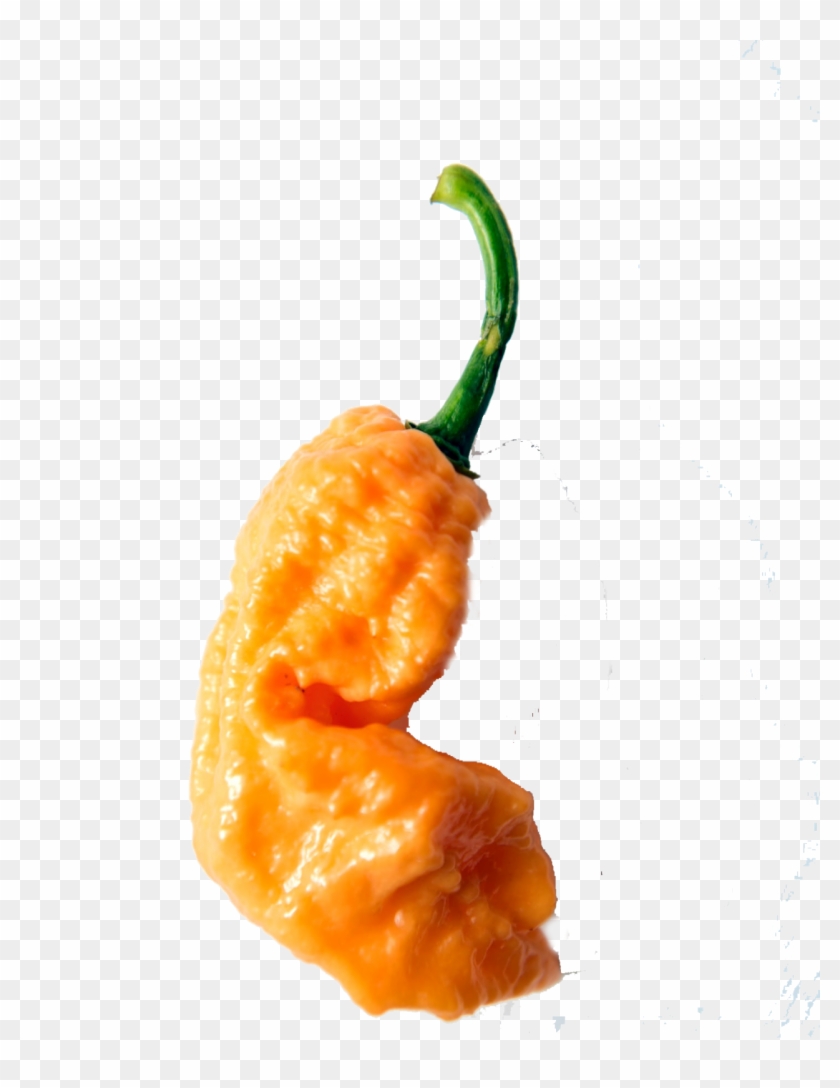 Mango Habanero Scoville - Scoville Unit, HD Png Download - 1282x1600