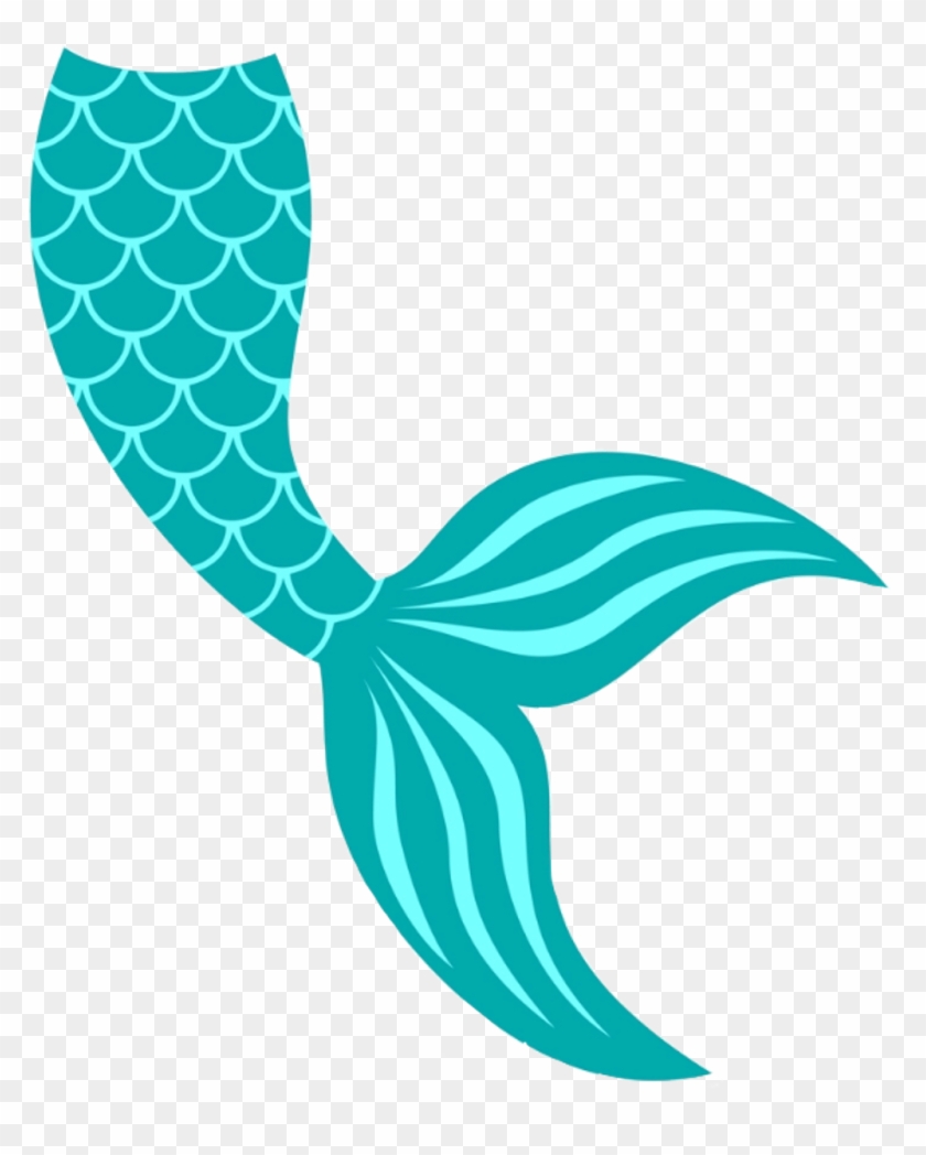 Download Mermaid Tail Mermaidtail Jezelamadeus Freetoedit Mermaid Tail Svg Free Hd Png Download 1024x1229 481402 Pngfind