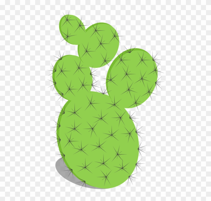 Cactus,prickly - Fico D India Png, Transparent Png - 500x728(#4852072 ...