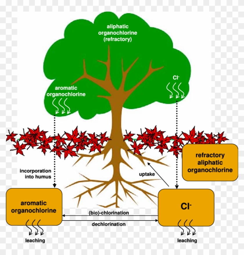 Root Cause Tree Template Images