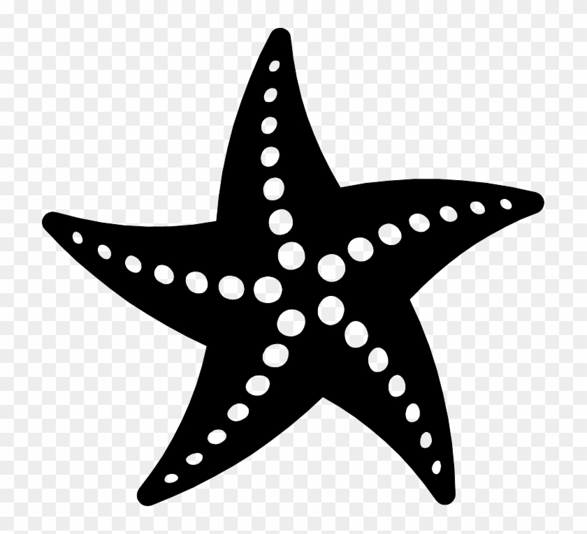 Download Png Starfish Black And White Starfish Vector Transparent Png 719x685 490736 Pngfind