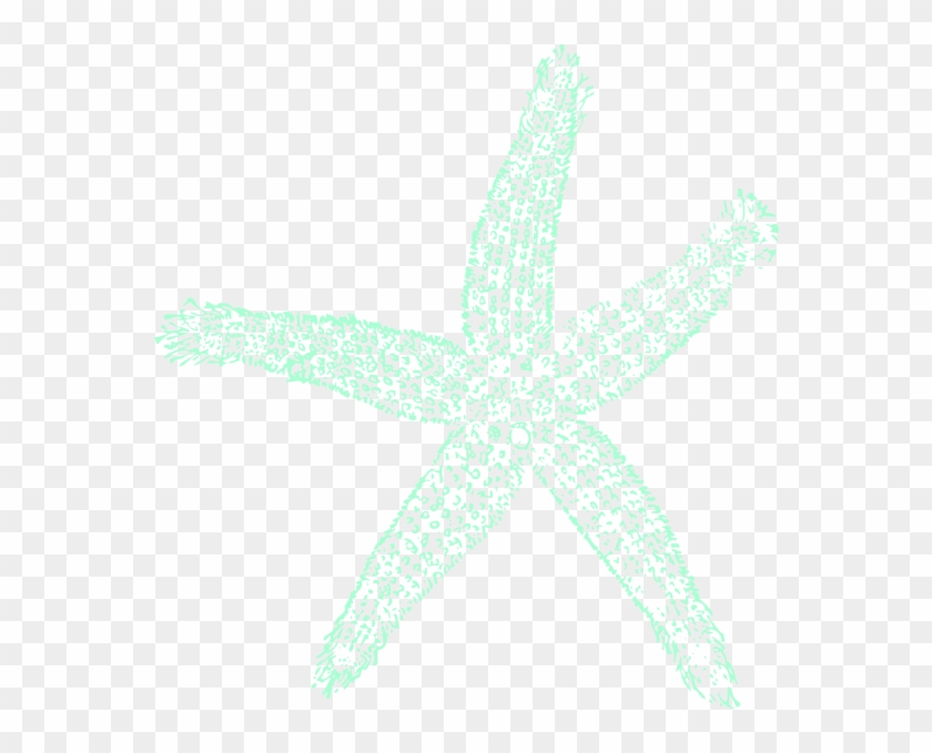 Download How To Set Use Tealgreen Starfish Svg Vector Hd Png Download 564x599 491140 Pngfind