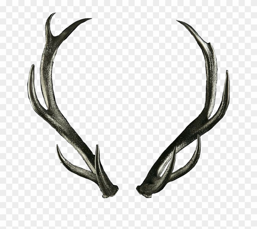 Cuernos Sticker - Deer, HD Png Download - 662x668(#4908881) - PngFind