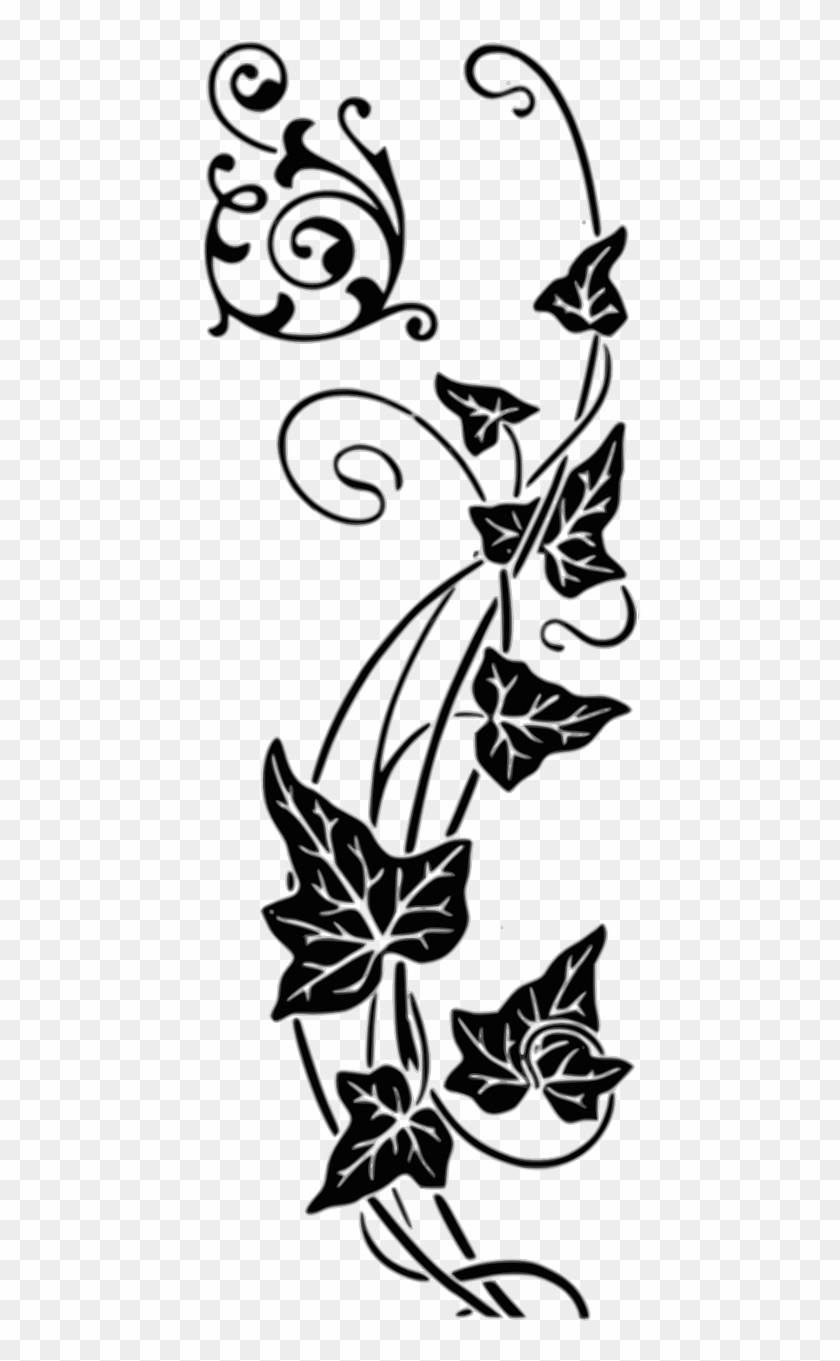 Vector Graphics Free Pictures Free Flower Vines Drawing Transparent Hd Png Download 640x1280 4917493 Pngfind