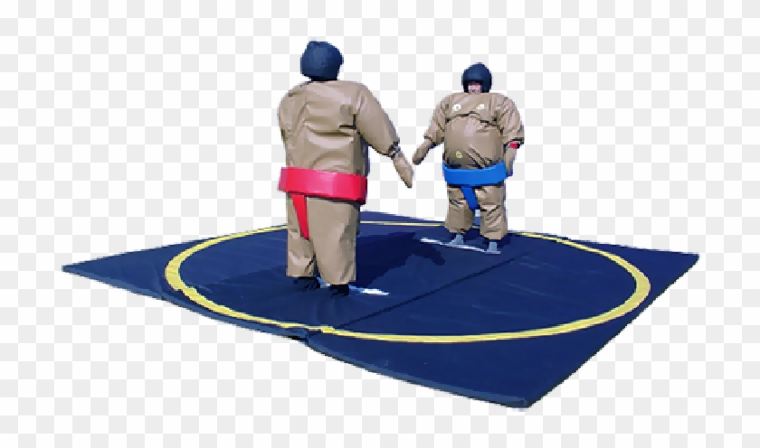 sumo wrestler suits game