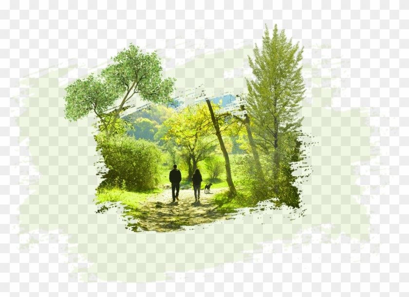 Central Park Png Transparent Background - Painting, Png Download -  1456x1011(#4950737) - PngFind