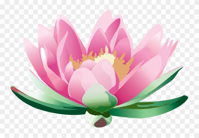 Flor De Loto Png - Lotus Flower Vistaprint, Transparent Png -  755x500(#5022485) - PngFind