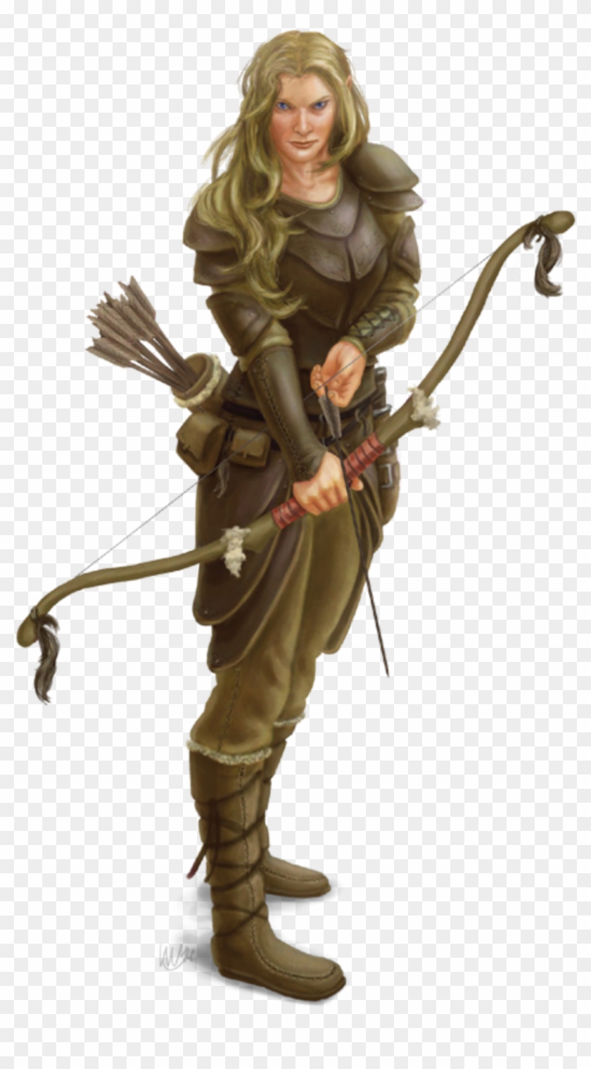 Drawn Elf Dnd, HD Png Download - 827x1438(#5037103) - PngFind