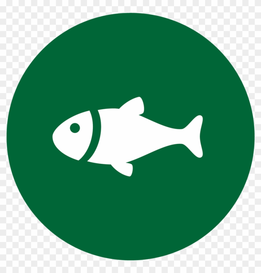 Download Fishing Icons Fish Sign Hd Png Download 1000x981 5040371 Pngfind