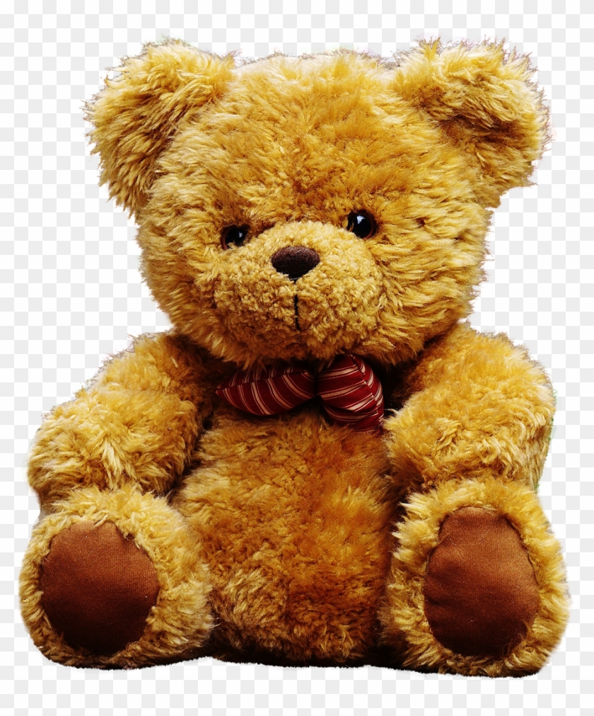 teddy bear transparent