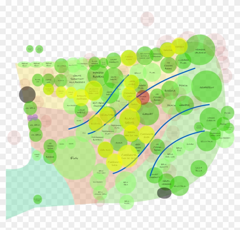 The Highlighted Circles Are Trees I Plan On Planting - Circle, HD Png ...