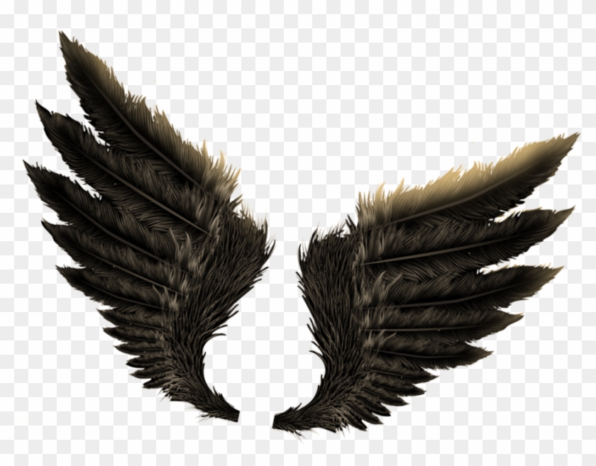Wings Png Images Free Download Angel Wings Png - Wings For Photo Editing,  Transparent Png - 1020x718(#5139484) - PngFind