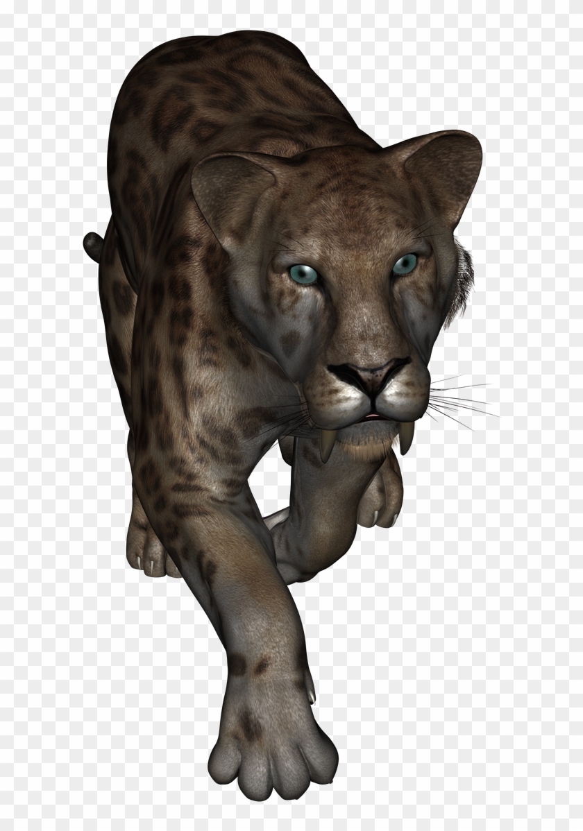 This Is The Sabertooth Tiger From Daz Studio Lion Hd Png Download 648x1196 5159116 Pngfind