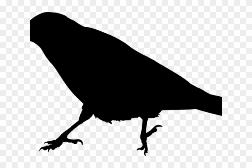 Download Raven Clipart Raven Bird Crow Silhouette Transparent Background Hd Png Download 640x480 5182228 Pngfind
