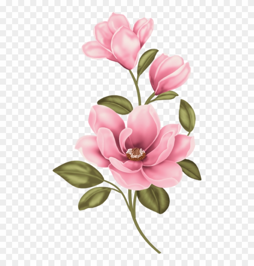 Foto Avtor Olinka Flower Clipart Hd Png Download 494x800 523898 Pngfind