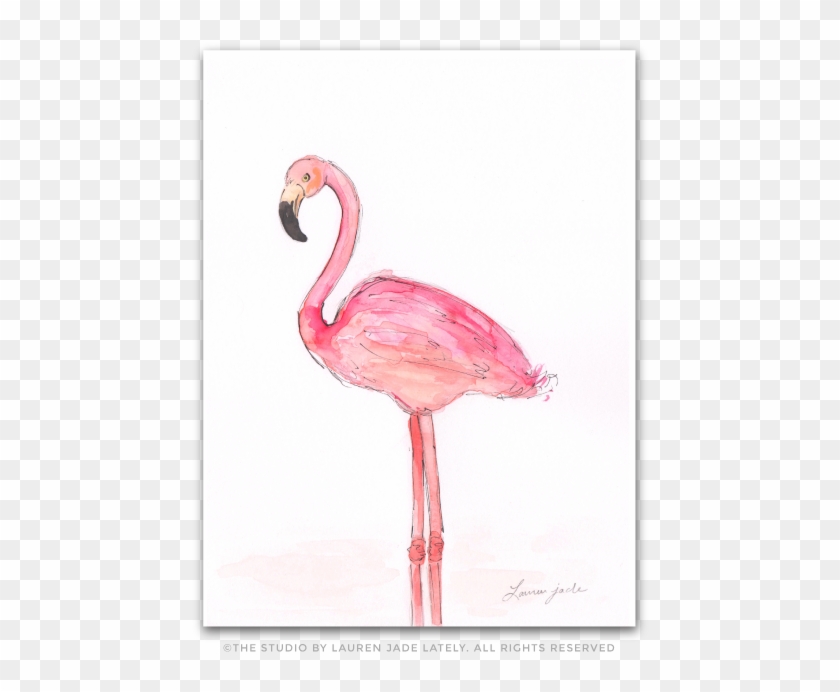 No Two Inspiration Pinterest Notwo Greater Flamingo Hd Png Download 492x654 527807 Pngfind