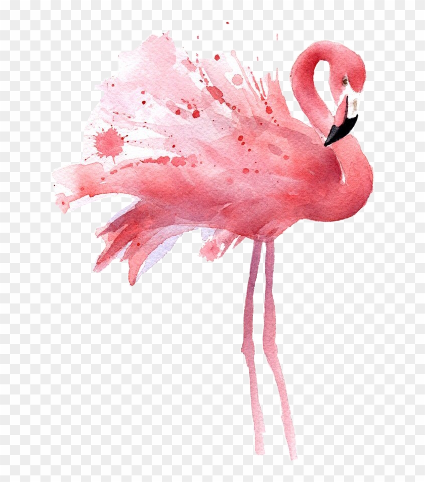 Download Image Library Library Transparent Watercolours Flamingo Flamingo Overlay Hd Png Download 642x873 528166 Pngfind