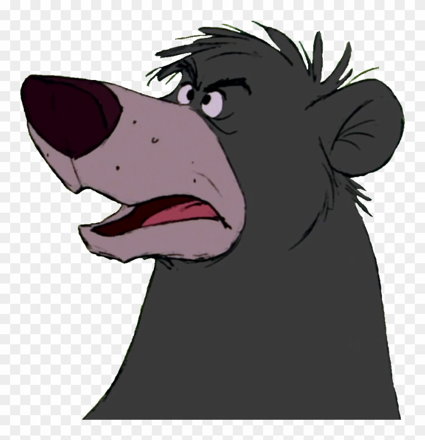 Baloo Download Png Image - Cartoon, Transparent Png - 1600x915(#5202825 ...