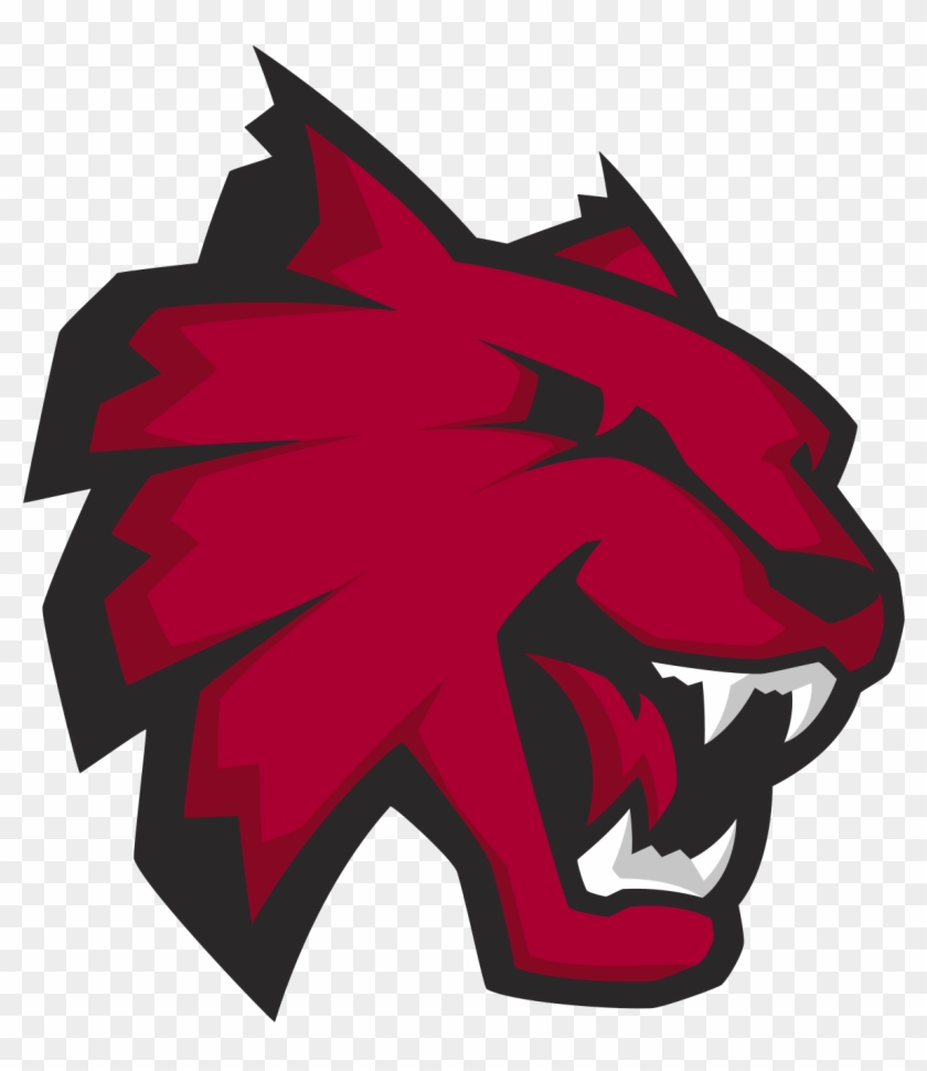 Red Cat College Logo