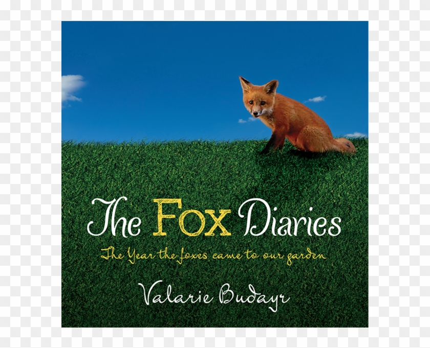 The fox is coming. Книга с лисой на обложке. Fox Dogs пряный.