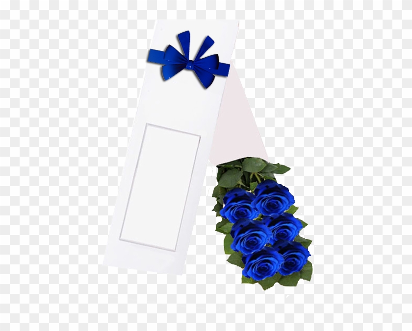 Caja 6 Rosas Azules - Rosas Azules Para Hombres, HD Png Download -  600x600(#5286362) - PngFind