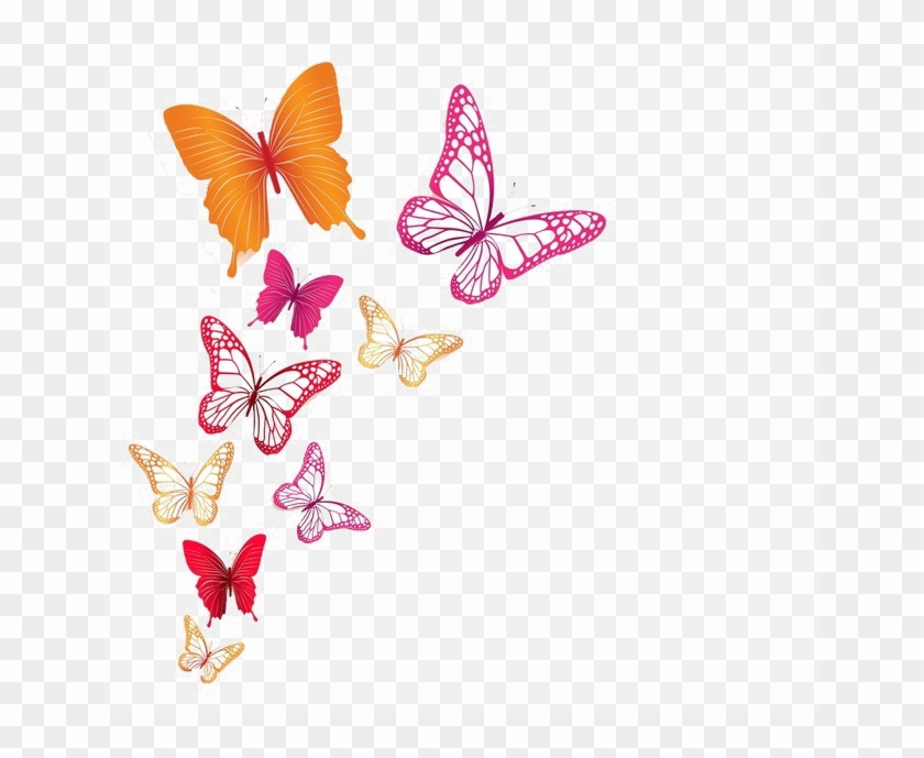 Hình ảnh bướm với những màu sắc rực rỡ và hình dáng độc đáo sẽ làm thỏa mãn bạn về sự tuyệt vời và độc đáo của thiên nhiên. Hãy xem hình để tìm hiểu thêm về những loài bướm thông dụng nhất.